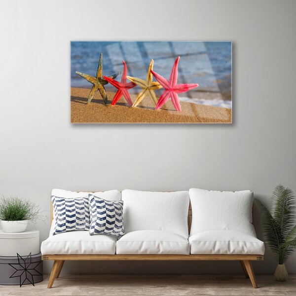 Tablou pe sticla Plaja Starfish Art Multi
