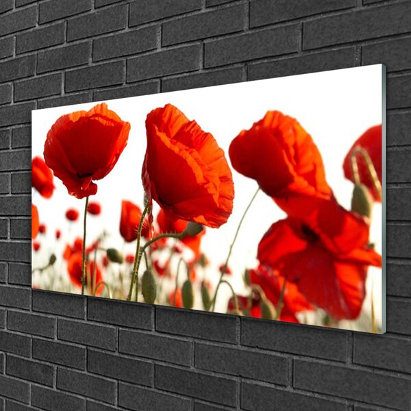 Tablou pe sticla Lalele Floral Red White