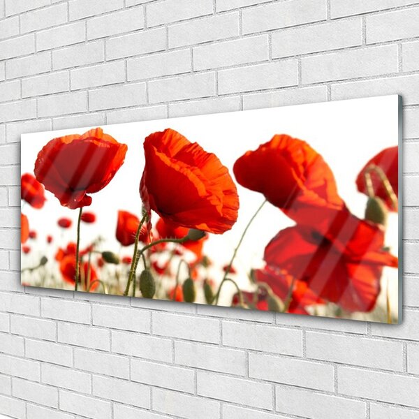 Tablou pe sticla Lalele Floral Red White