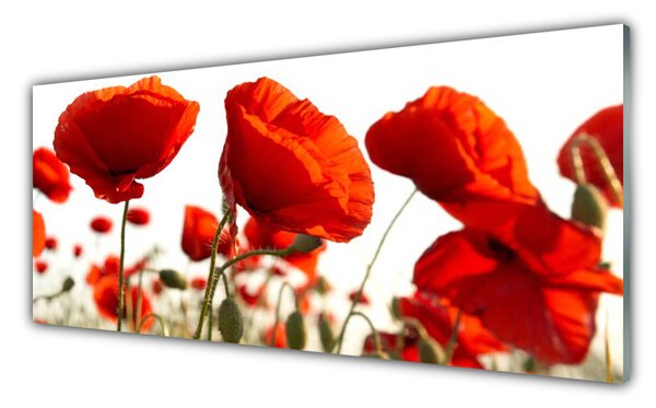 Tablou pe sticla Lalele Floral Red White