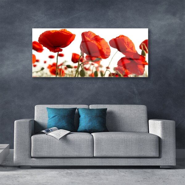 Tablou pe sticla Lalele Floral Red White