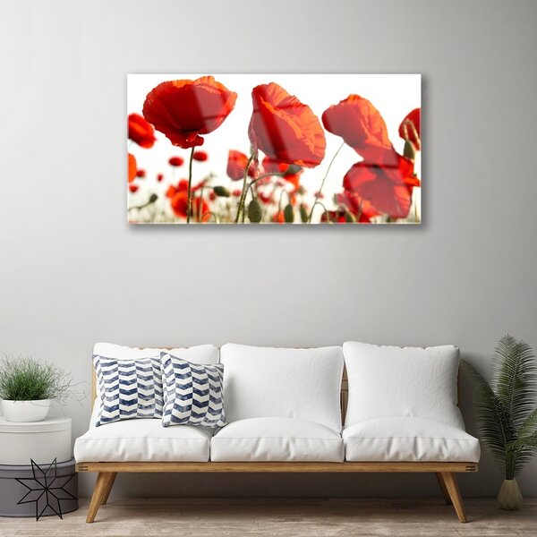 Tablou pe sticla Lalele Floral Red White