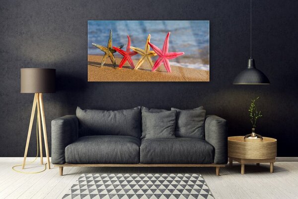 Tablou pe sticla Plaja Starfish Art Multi