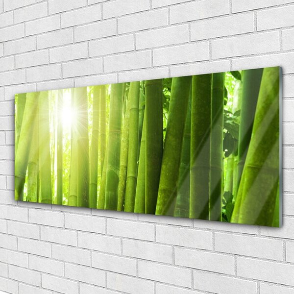 Tablou pe sticla Bamboo Floral Verde