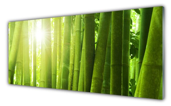 Tablou pe sticla Bamboo Floral Verde