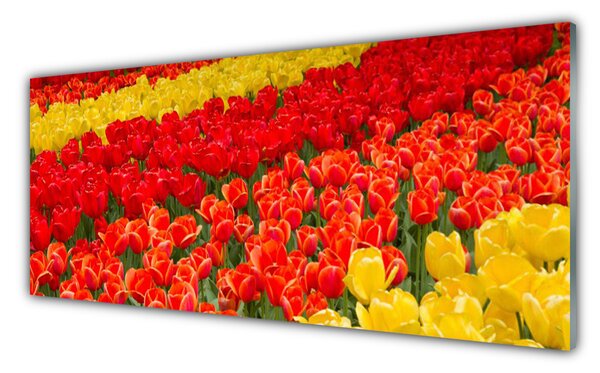 Tablou pe sticla Lalele Floral Roșu Galben