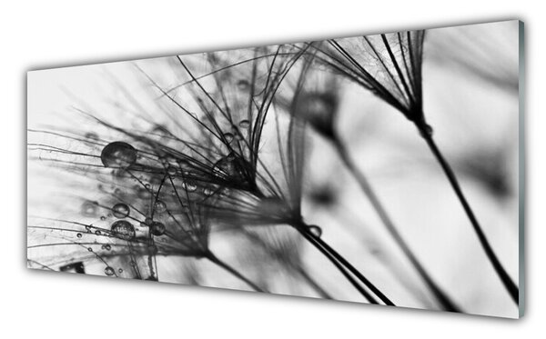 Tablou pe sticla Abstract Floral Gray