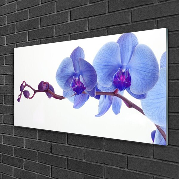 Tablou pe sticla Flori Floral Albastru Violet