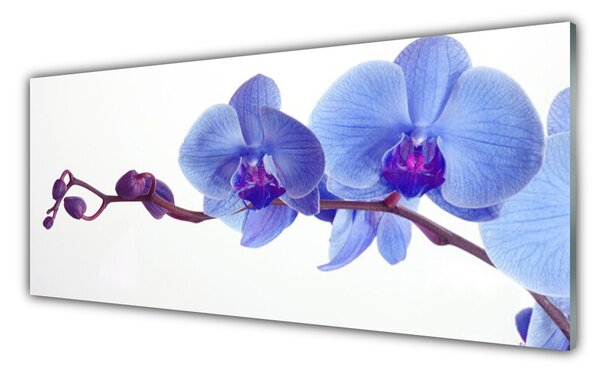 Tablou pe sticla Flori Floral Albastru Violet