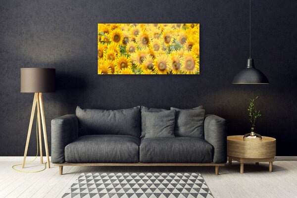 Tablou pe sticla Floarea soarelui Floral Galben Maro Verde