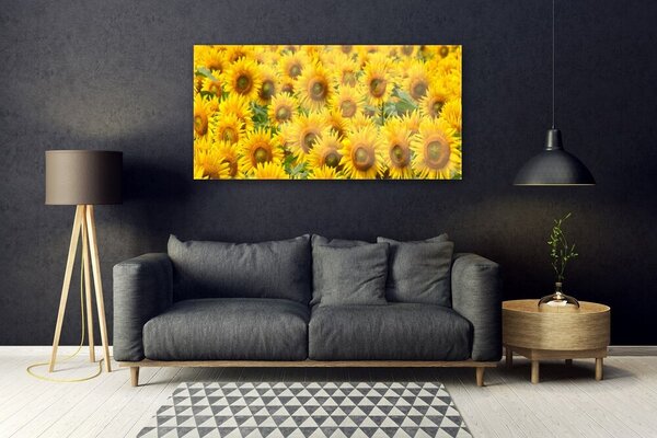 Tablou pe sticla Floarea soarelui Floral Galben Maro Verde