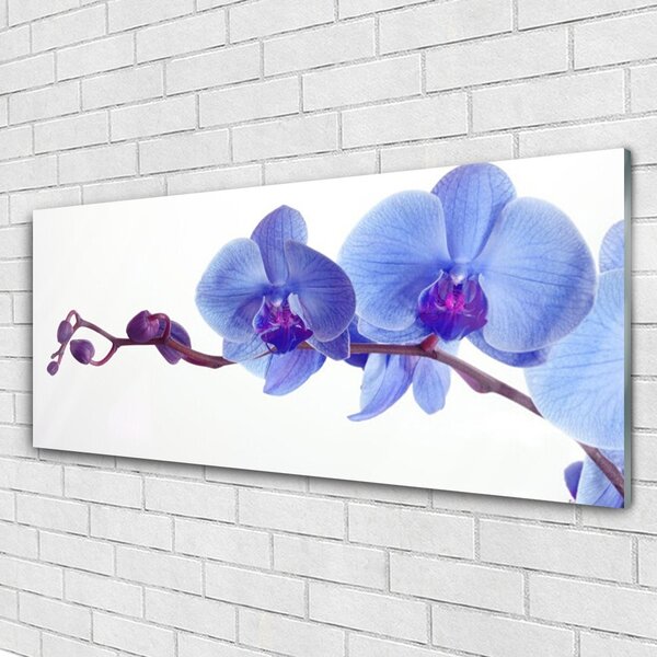 Tablou pe sticla Flori Floral Albastru Violet