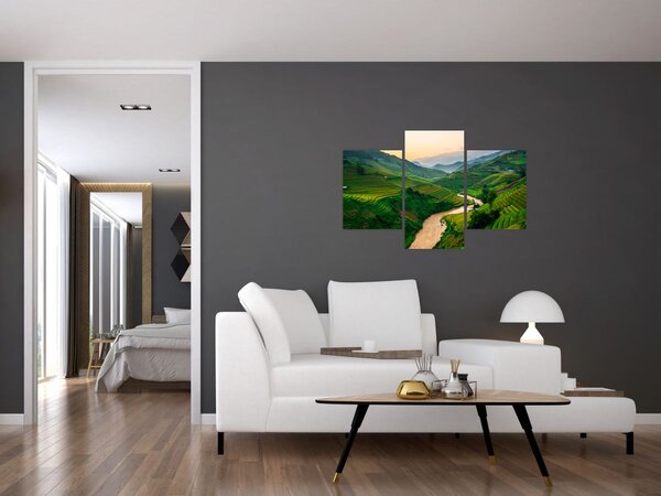 Tablou - Terase de orez II. (90x60 cm)