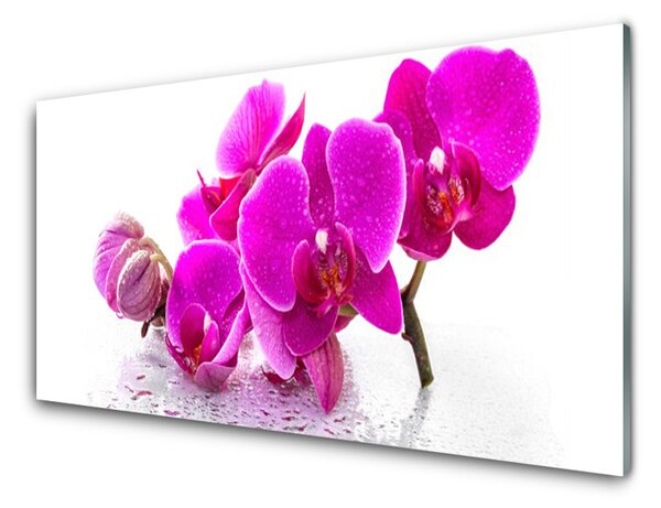 Panou sticla bucatarie Flori roz Floral