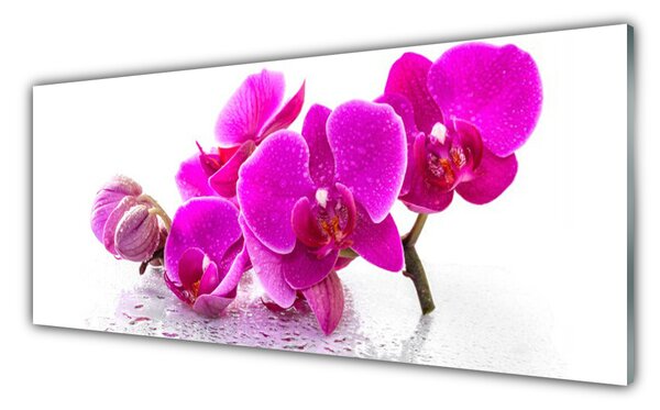 Panou sticla bucatarie Flori roz Floral