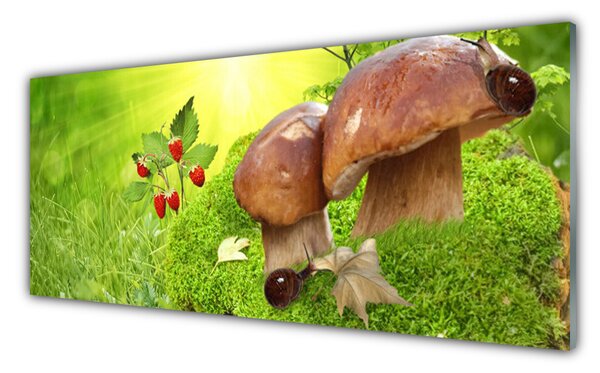 Panou sticla bucatarie Ciuperci Iarbă Wild Căpșuni Natura Brun Roșu Verde