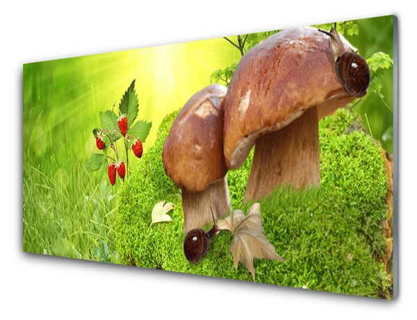 Panou sticla bucatarie Ciuperci Iarbă Wild Căpșuni Natura Brun Roșu Verde