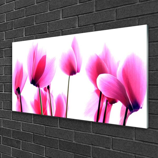 Tablou pe sticla Flori roz Floral