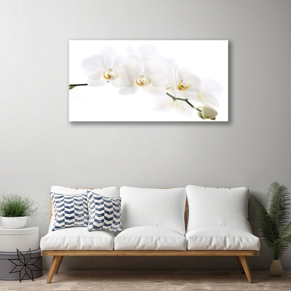 Tablou pe sticla Flori Floral alb