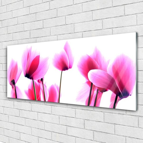 Tablou pe sticla Flori roz Floral