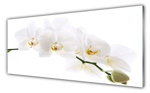 Tablou pe sticla Flori Floral alb