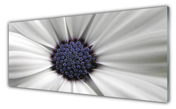 Tablou pe sticla Flower Floral Alb Gri Violet
