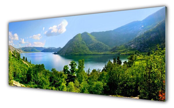 Panou sticla bucatarie Pădure Munți Lac Peisaj Verde Albastru