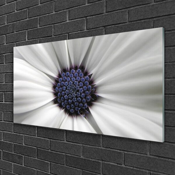 Tablou pe sticla Flower Floral Alb Gri Violet