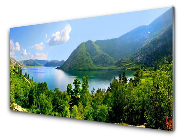Panou sticla bucatarie Pădure Munți Lac Peisaj Verde Albastru