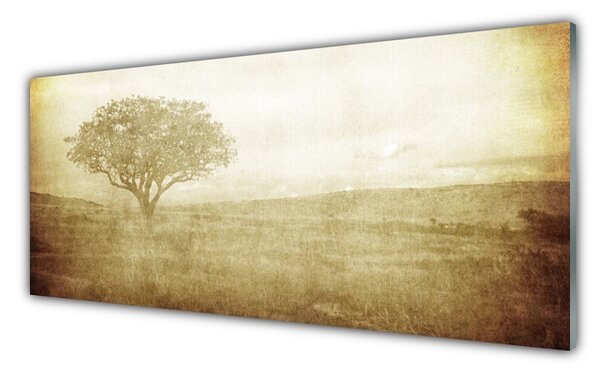 Tablou pe sticla Arborele Natura Sepia