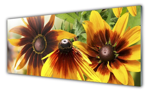 Panou sticla bucatarie Flori Floral Brown Galben