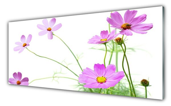 Tablou pe sticla Flori Floral Roz Verde