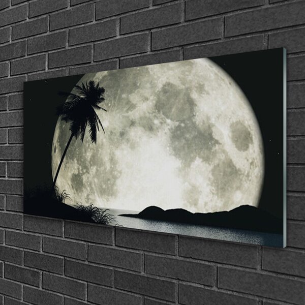 Tablou pe sticla Noapte Luna Palm Peisaj Negru Gri Alb