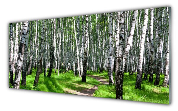 Tablou pe sticla Copaci Iarbă Natura Negru Alb Verde