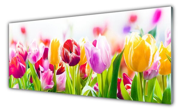 Panou sticla bucatarie Lalele Floral Rosu Roz Verde