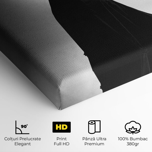Tablou Canvas, 40x80cm, Dormitor si Living, Femei, Siluete, Full Shot Dancer