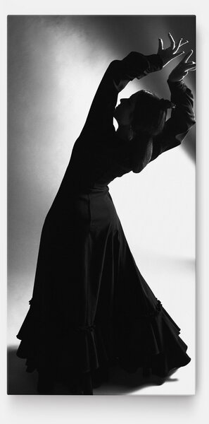 Tablou Canvas, 40x80cm, Dormitor si Living, Femei, Siluete, Full Shot Dancer