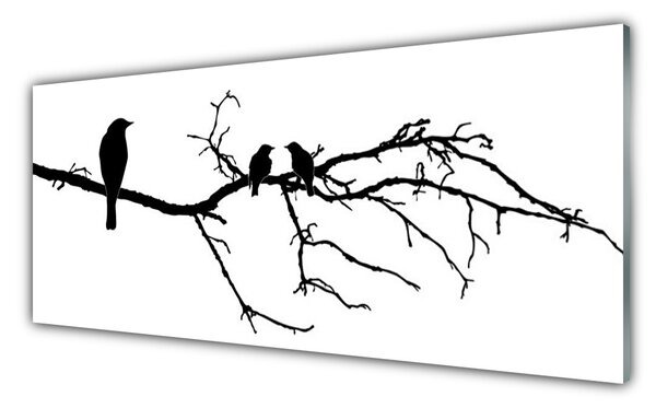 Tablou pe sticla Păsări Branch Art Negru