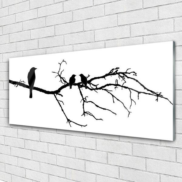 Tablou pe sticla Păsări Branch Art Negru
