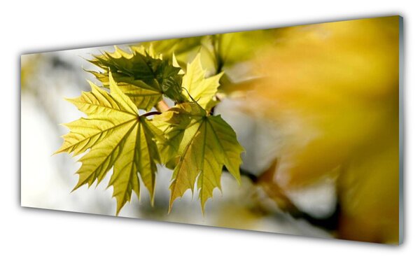 Tablou pe sticla Frunze verde florale