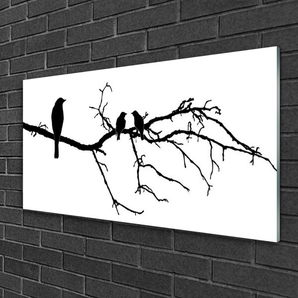 Tablou pe sticla Păsări Branch Art Negru