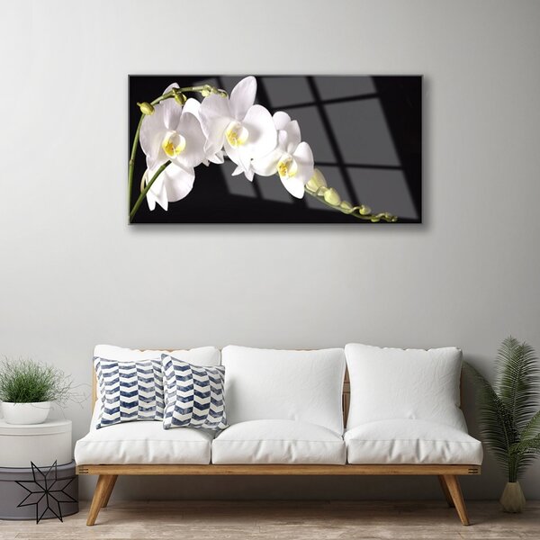 Tablou pe sticla Flori Floral alb