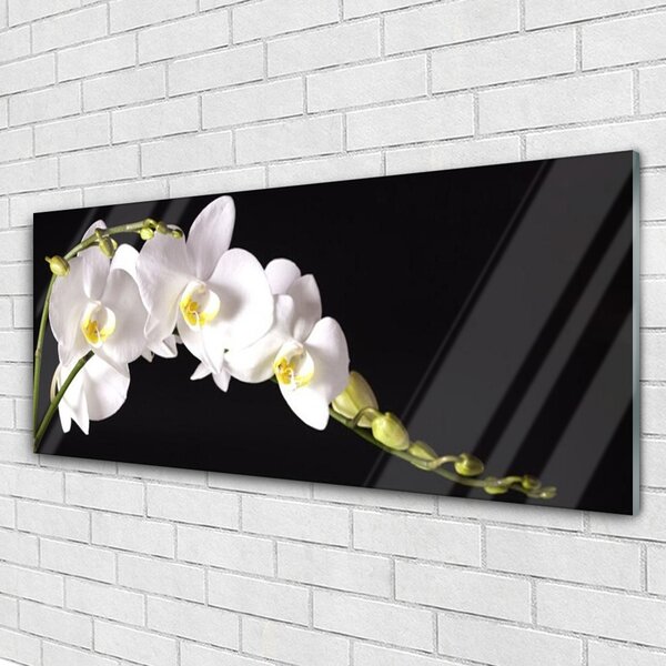Tablou pe sticla Flori Floral alb