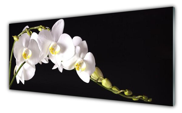 Tablou pe sticla Flori Floral alb