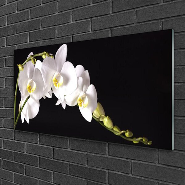 Tablou pe sticla Flori Floral alb
