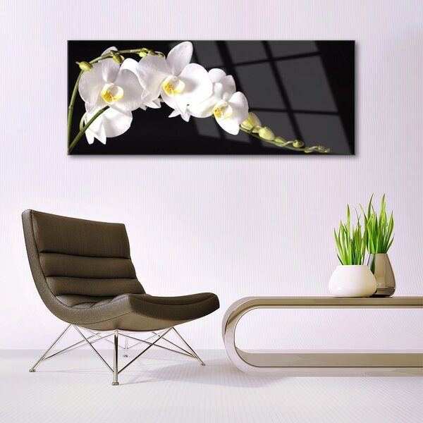 Tablou pe sticla Flori Floral alb