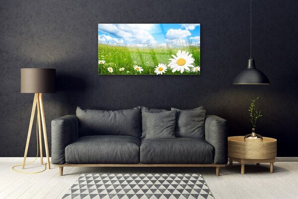 Tablou pe sticla Daisy Iarbă Natura Alb Galben Verde