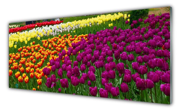 Tablou pe sticla Lalele Floral Galben Roșu Verde Alb