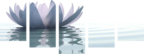 Tablou 5-piese floare de lotus
