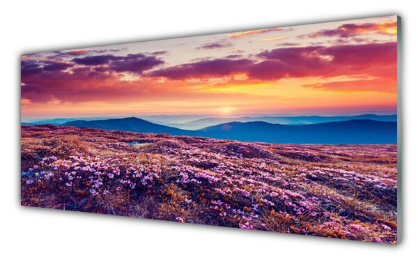 Tablou pe sticla Pajiște de munte Flori Natura Violet Albastru Portocaliu